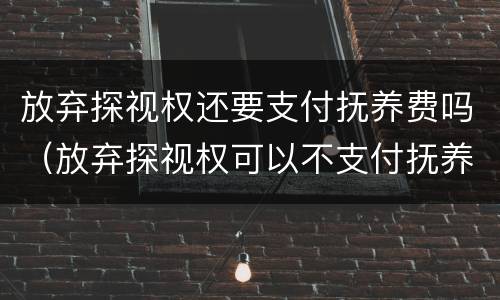 放弃探视权还要支付抚养费吗（放弃探视权可以不支付抚养费吗）