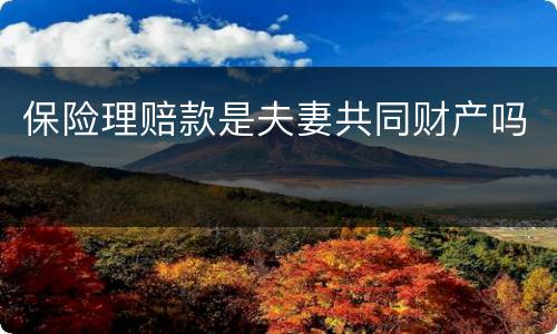 保险理赔款是夫妻共同财产吗