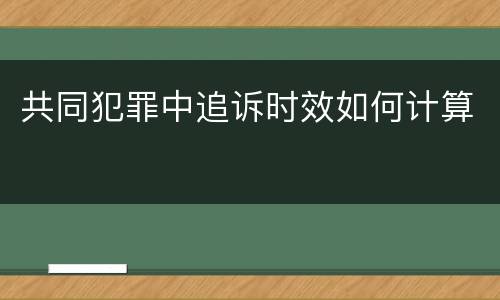 共同犯罪中追诉时效如何计算