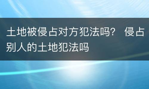 土地被侵占对方犯法吗？ 侵占别人的土地犯法吗