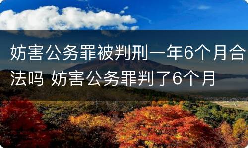 妨害公务罪被判刑一年6个月合法吗 妨害公务罪判了6个月