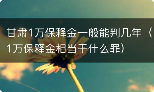 甘肃1万保释金一般能判几年（1万保释金相当于什么罪）