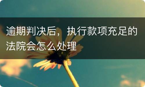 逾期判决后，执行款项充足的法院会怎么处理