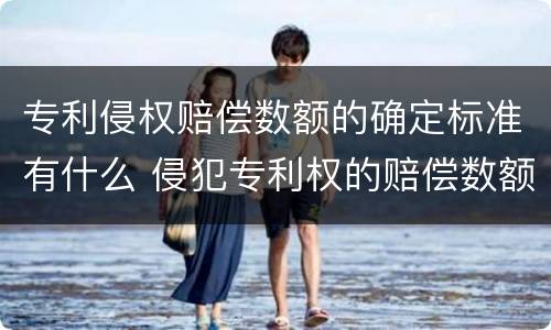 专利侵权赔偿数额的确定标准有什么 侵犯专利权的赔偿数额是多少