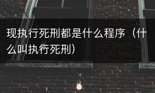 现执行死刑都是什么程序（什么叫执行死刑）