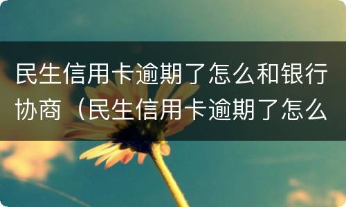 民生信用卡逾期了怎么和银行协商（民生信用卡逾期了怎么和银行协商还款）