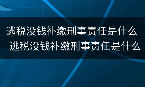 逃税没钱补缴刑事责任是什么 逃税没钱补缴刑事责任是什么罪