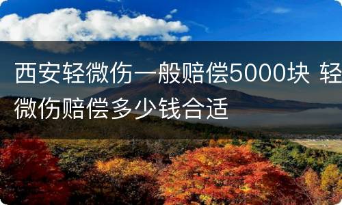 西安轻微伤一般赔偿5000块 轻微伤赔偿多少钱合适