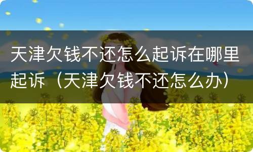天津欠钱不还怎么起诉在哪里起诉（天津欠钱不还怎么办）
