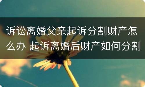 诉讼离婚父亲起诉分割财产怎么办 起诉离婚后财产如何分割