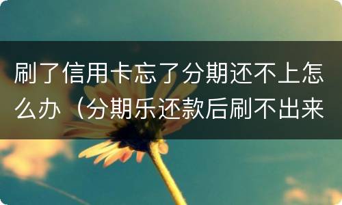 刷了信用卡忘了分期还不上怎么办（分期乐还款后刷不出来怎么办）