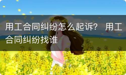 用工合同纠纷怎么起诉？ 用工合同纠纷找谁