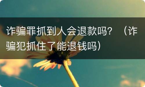 诈骗罪抓到人会退款吗？（诈骗犯抓住了能退钱吗）