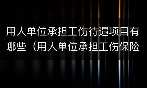 用人单位承担工伤待遇项目有哪些（用人单位承担工伤保险待遇）