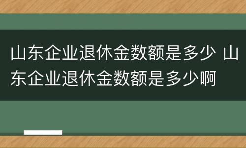 山东企业退休金数额是多少 山东企业退休金数额是多少啊
