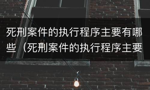 死刑案件的执行程序主要有哪些（死刑案件的执行程序主要有哪些规定）