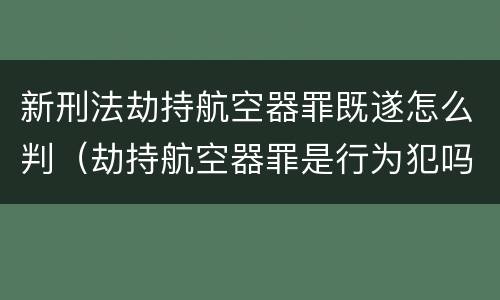 新刑法劫持航空器罪既遂怎么判（劫持航空器罪是行为犯吗）