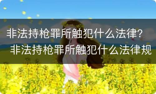 非法持枪罪所触犯什么法律？ 非法持枪罪所触犯什么法律规定