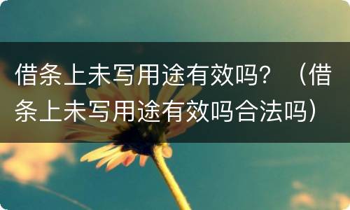 借条上未写用途有效吗？（借条上未写用途有效吗合法吗）