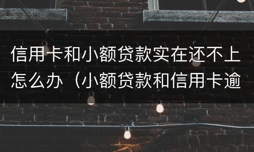 信用卡和小额贷款实在还不上怎么办（小额贷款和信用卡逾期优先还哪个）