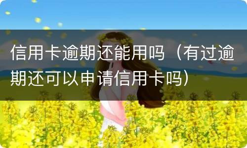 信用卡逾期还能用吗（有过逾期还可以申请信用卡吗）