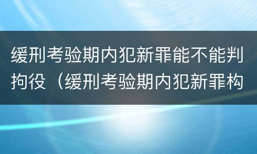 缓刑考验期内犯新罪能不能判拘役（缓刑考验期内犯新罪构成累犯吗）