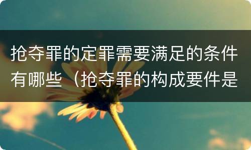 抢夺罪的定罪需要满足的条件有哪些（抢夺罪的构成要件是什么）