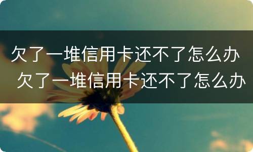 欠了一堆信用卡还不了怎么办 欠了一堆信用卡还不了怎么办理