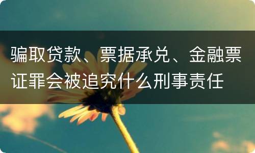 骗取贷款、票据承兑、金融票证罪会被追究什么刑事责任