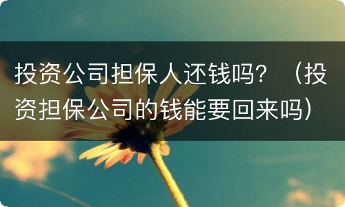 投资公司担保人还钱吗？（投资担保公司的钱能要回来吗）