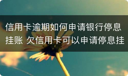 信用卡逾期如何申请银行停息挂账 欠信用卡可以申请停息挂账吗