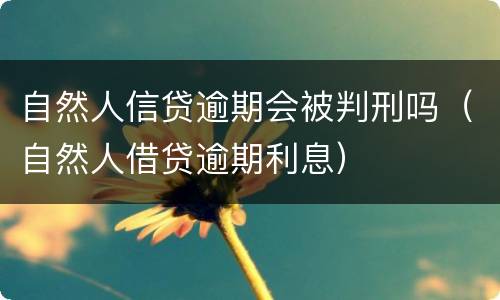 自然人信贷逾期会被判刑吗（自然人借贷逾期利息）