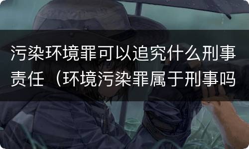 污染环境罪可以追究什么刑事责任（环境污染罪属于刑事吗）
