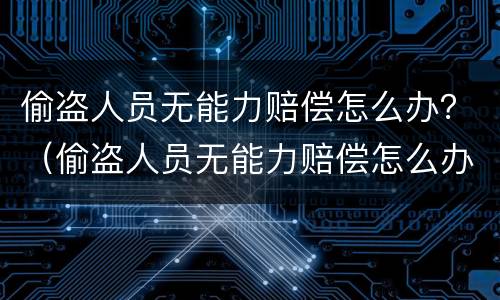 偷盗人员无能力赔偿怎么办？（偷盗人员无能力赔偿怎么办）