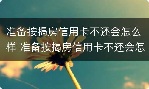 准备按揭房信用卡不还会怎么样 准备按揭房信用卡不还会怎么样吗