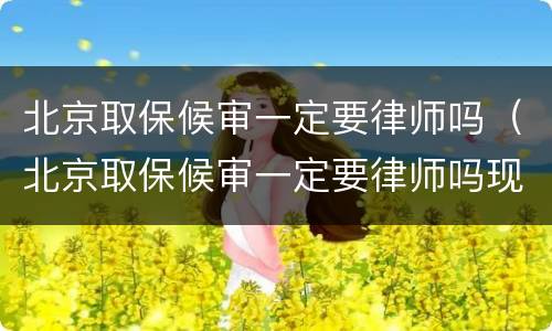 北京取保候审一定要律师吗（北京取保候审一定要律师吗现在）