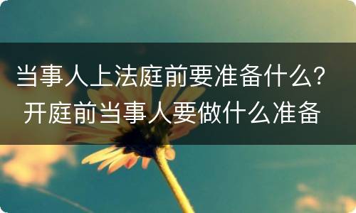 当事人上法庭前要准备什么？ 开庭前当事人要做什么准备