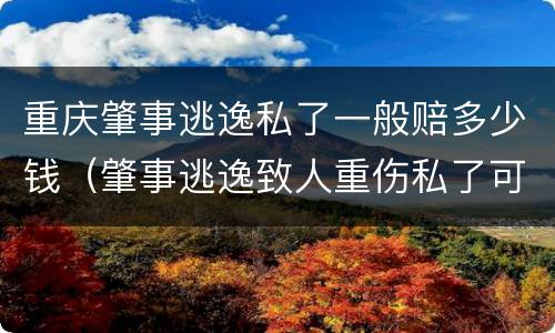 重庆肇事逃逸私了一般赔多少钱（肇事逃逸致人重伤私了可以私了吗）