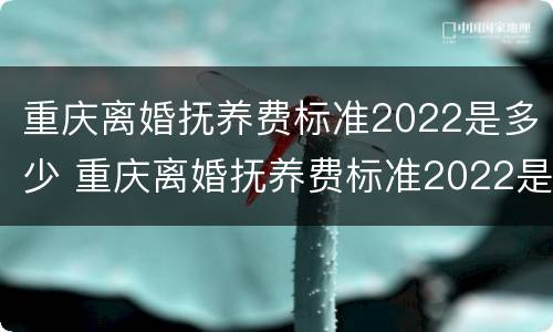 重庆离婚抚养费标准2022是多少 重庆离婚抚养费标准2022是多少呢