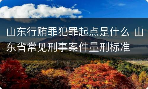 山东行贿罪犯罪起点是什么 山东省常见刑事案件量刑标准