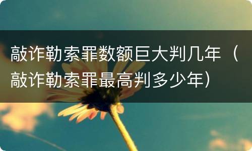 敲诈勒索罪数额巨大判几年（敲诈勒索罪最高判多少年）