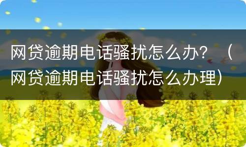 网贷逾期电话骚扰怎么办？（网贷逾期电话骚扰怎么办理）