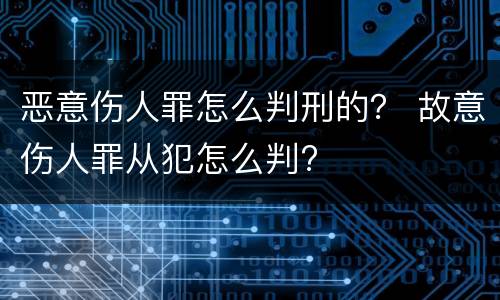恶意伤人罪怎么判刑的？ 故意伤人罪从犯怎么判?