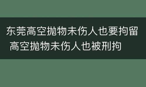 东莞高空抛物未伤人也要拘留 高空抛物未伤人也被刑拘