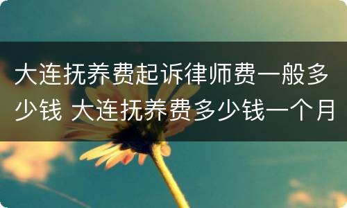 大连抚养费起诉律师费一般多少钱 大连抚养费多少钱一个月