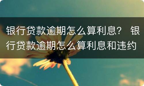 银行贷款逾期怎么算利息？ 银行贷款逾期怎么算利息和违约金