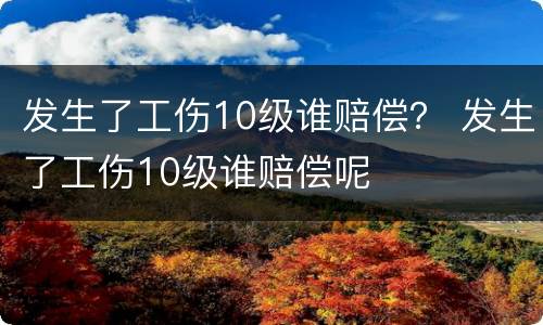 发生了工伤10级谁赔偿？ 发生了工伤10级谁赔偿呢