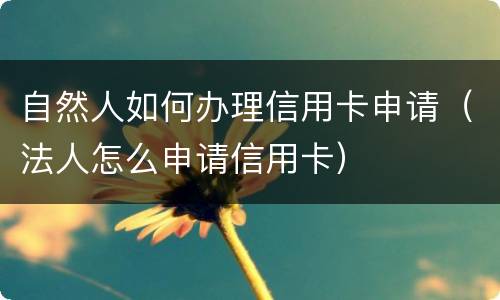 自然人如何办理信用卡申请（法人怎么申请信用卡）