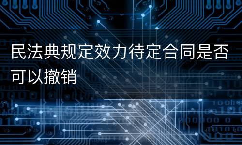 民法典规定效力待定合同是否可以撤销
