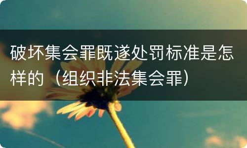 破坏集会罪既遂处罚标准是怎样的（组织非法集会罪）